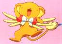 ccs7.jpg