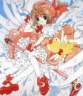 ccsakura.jpg